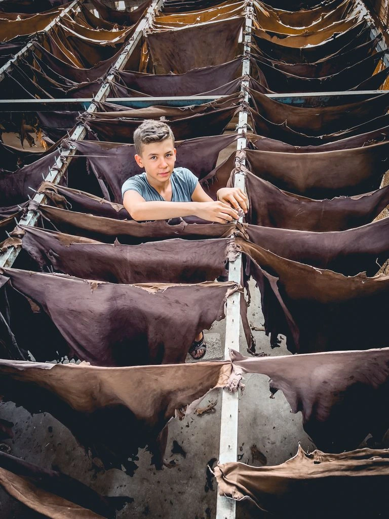Raw hides hang in the beams of the Conceria Walpier tannery before tanning begins.